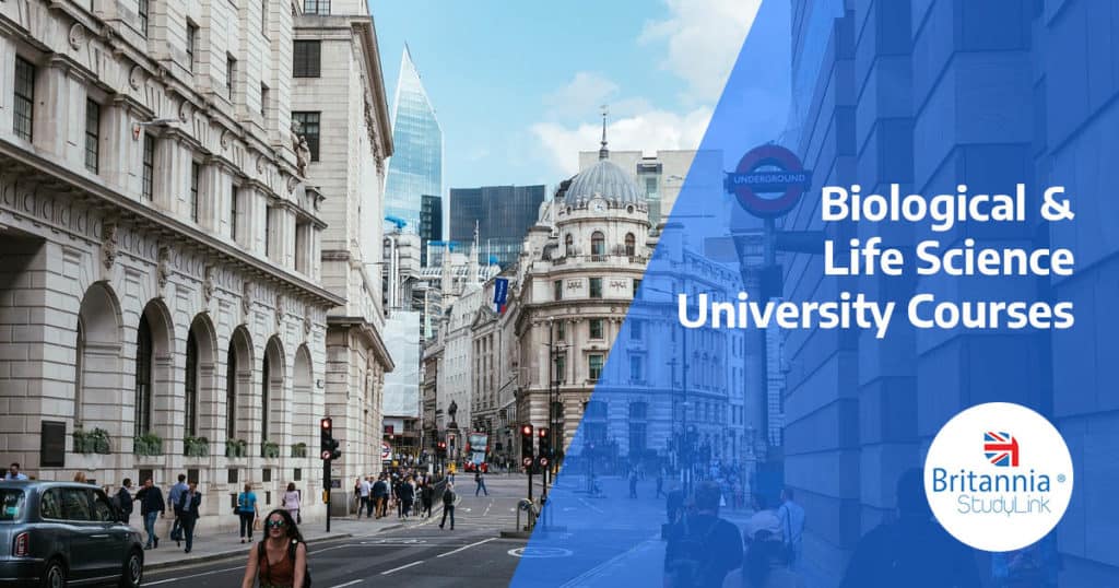 biological and life sciences uk